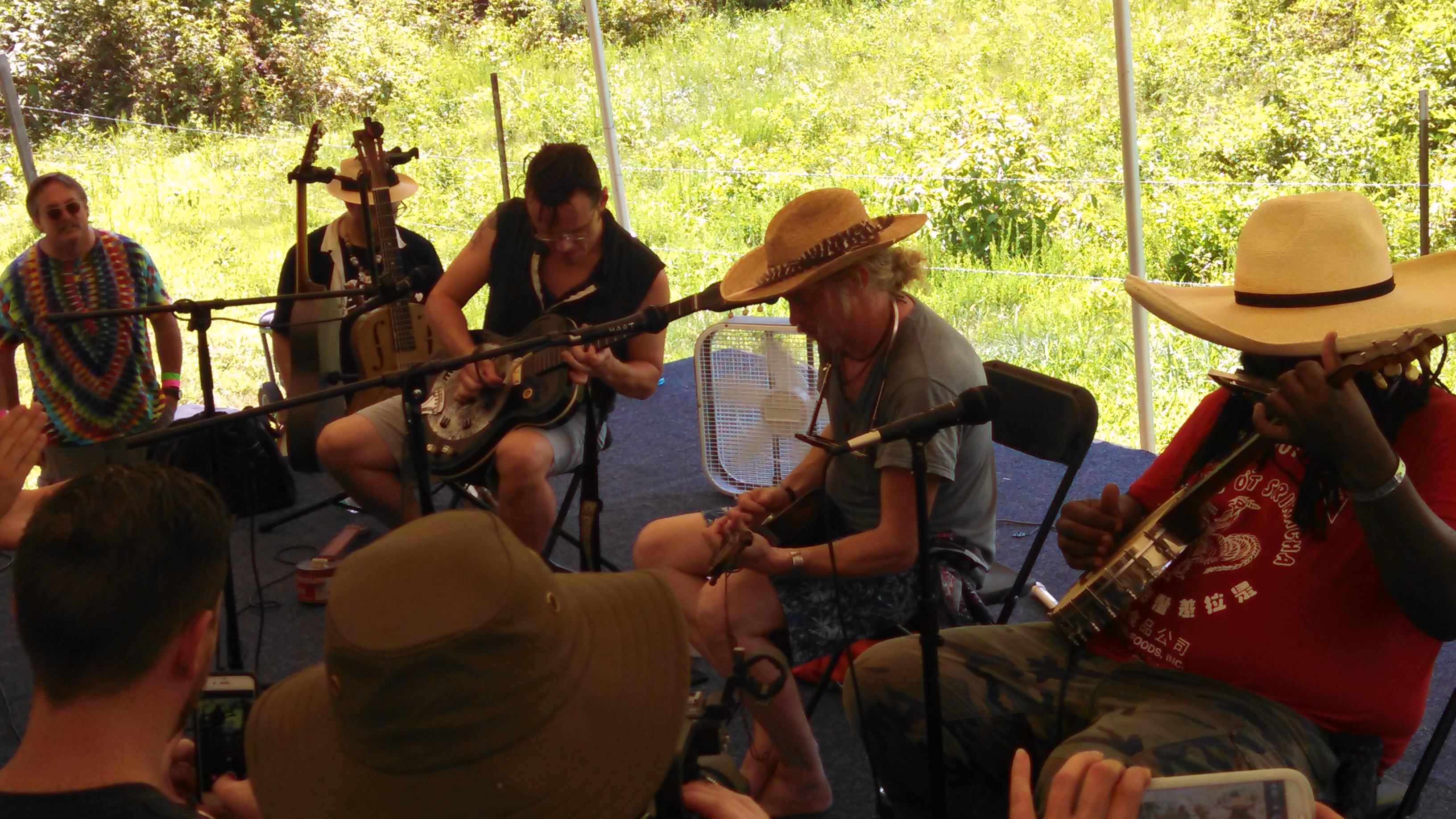 SouthMemphisStringBand2015-06-26NorthMississippiHillCountryPicnicWaterfordMS (7).jpg